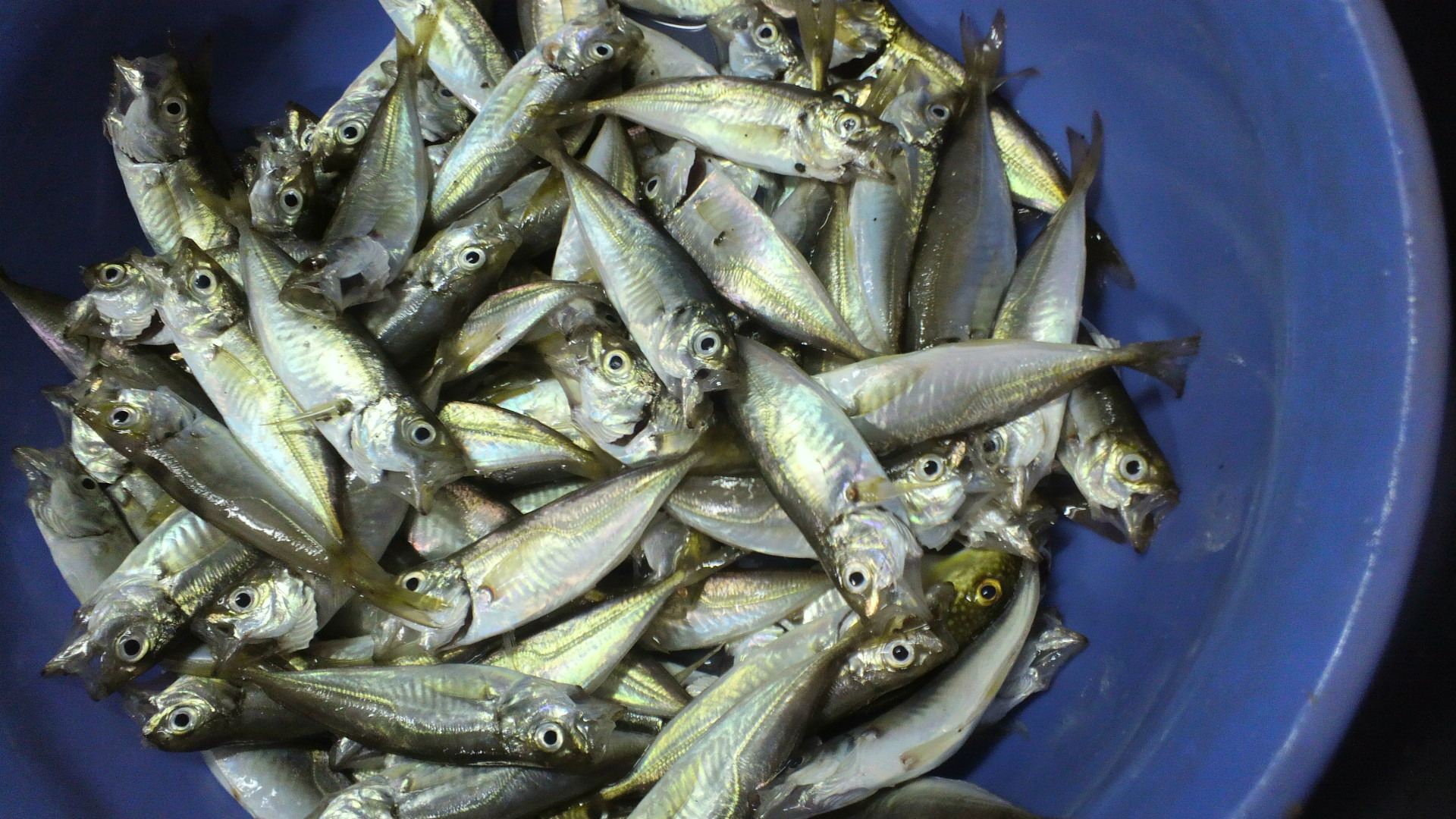 2013061222220001.jpg
